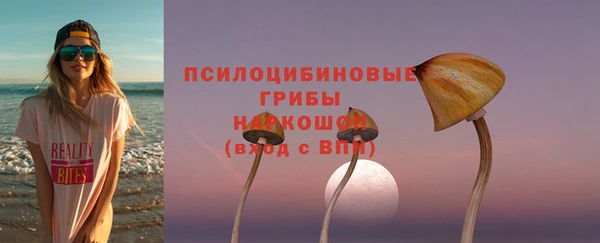 гидропоника Алзамай