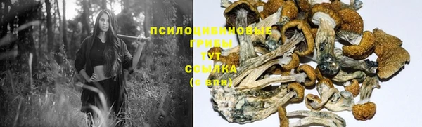 гидропоника Алзамай