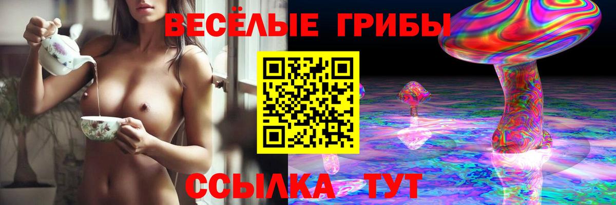 Галлюциногенные грибы Psilocybe Нефтекамск