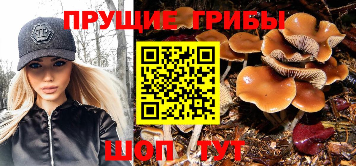 Псилоцибиновые грибы мицелий  Вход с VPN  Нефтекамск 